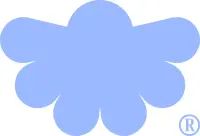 Nest & Bloom — Paris